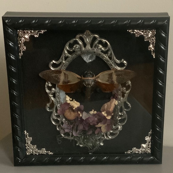 Other - Custom handmade double framed cicada